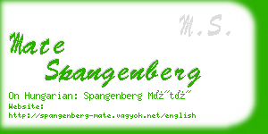 mate spangenberg business card